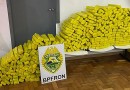 Adolescente conduzia veículo com 283 kg de maconha em Capanema-PR