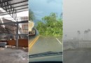 Temporal faz ‘dia virar noite’ e ventos de 90 km/h assustam moradores do Oeste de SC