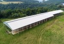 Machado Leiloeiro realiza Leilão Judicial Online de área de terra e equipamentos para confinamento de gado leiteiro
