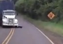 Vídeo flagra momento em que caminhão perde controle e quatro pessoas morrem em batida frontal; assista
