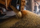 Economia brasileira cresce 1,1% no 1º trimestre