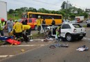 Motorista perde controle de carro e cai da BR-480 na marginal em Chapecó