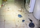 Homem atira contra policiais durante atendimento de violência doméstica e foge para mata