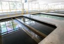 Abastecimento de água começa a ser normalizado em Joinville