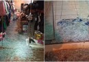 Bandidos arrombam e furtam duas lojas no centro