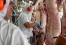 Boletim aponta que São Miguel do Oeste tem 802 vagas de trabalho disponíveis