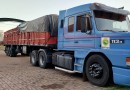 BPFRON apreende carreta com carga irregular de palmeiras