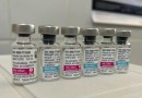 Ministério da Saúde pretende entregar vacinas contra dengue na segunda semana de fevereiro