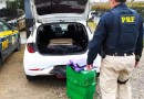 PRF apreende mais de 60 kg de maconha em carro de aplicativo na BR-282