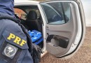 Apreensões de drogas pela PRF/SC já somam R$ 100 milhões em prejuízo para facções criminosas