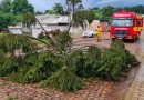 Defesa Civil confirma ocorrência de microexplosão no domingo