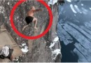 Homem pula de 40 metros de altura e quebra recorde de mergulho profundo