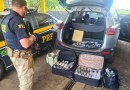 Cerqueirense é detida pela 6ª vez transportando vinhos importados ilegalmente da Argentina