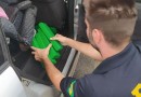 Criança de três anos é flagrada viajando ao lado de mais de 200 kg de maconha