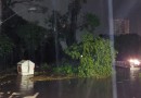 Temporal deixa pelo menos 1,3 milhão de clientes sem energia elétrica no RS