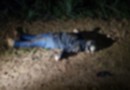 Dois bandidos são mortos pela polícia em tentativa de furto a guincho