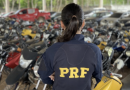 PRF promove leilão de mais de 2 mil veículos apreendidos ou abandonados em rodovias federais de SC