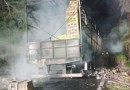 Caminhão carregado com frangos pega fogo na BR-280