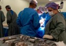 Em 5 dias, mais de 1,3 mil cirurgias eletivas foram realizadas em SC