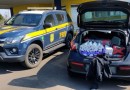 PRF apreende 147 quilos de maconha na BR-153; dois homens são presos