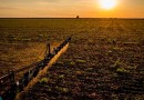 Ministro da Agricultura solicita um bilhão para viabilizar linhas de crédito de curto prazo