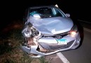 Duas pessoas ficam feridas após acidente de trânsito envolvendo carro e animal