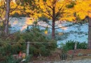 Primeira grande geada do inverno transforma paisagem na Tri-Fronteira nesta quarta-feira (24)