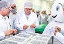 Após 20 anos, Brasil volta a produzir insulina
