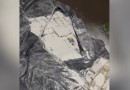 Polícia Federal prende motorista com mais de 1,7 tonelada de maconha em fundo falso no Paraná