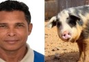 Homem morre após ser atacado por porco em área rural de Parauapebas