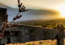 El Niño e pouco frio: confira como será o inverno em SC