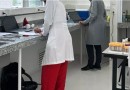Cientistas da UFSC estudam substância de Cannabis para tratamento de Parkinson e Alzheimer