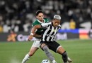 Palmeiras vence o Botafogo fora de casa e segue à caça pela liderança