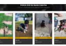 Polícia Civil lança portal para adoção de animais resgatados e vítimas de maus-tratos
