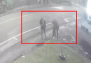 Homem é vítima de roubo ao ir para o hospital
