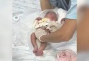 Sem-teto salva vida de bebê abandonada em caixa de papelão em SP