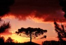 Terça-feira deve ser de sol entre nuvens