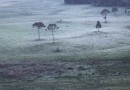 Faltando 12 dias para início do verão, Serra catarinense registra 3ºC ao amanhecer