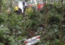 Jovem morre após veículo sair da pista e colidir em árvore na BR-282