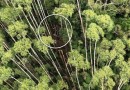 Helicóptero desaparecido em SP é localizado em Paraibuna, diz PM