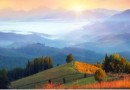 O Direito à luz da Vida Eterna