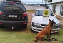 Homem é preso com cocaína durante operação do BPFRON