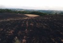 Incêndios florestais de grandes proporções são registrados em 4 municípios catarinenses