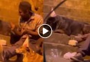 Vídeo muda vida de rapaz que comemorou aniversário com cães