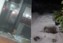 Granizo deixa calçadas brancas, assusta moradores e causa prejuízos em SC