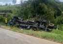 Caminhão carregado com alimentos sai da pista, tomba e colide em árvores na SC-155