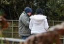Primeira semana do inverno terá frio intenso, geadas, tempestades e temperaturas negativas