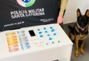 Adolescente de 15 anos é flagrado pela 5ª vez com drogas em intervalo de 28 dias