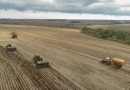 Paraná responde por 13,5% da produção nacional de grãos e registra safra recorde em 2025
