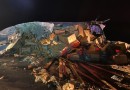 Motorista morre em acidente envolvendo dois caminhões na BR-153
